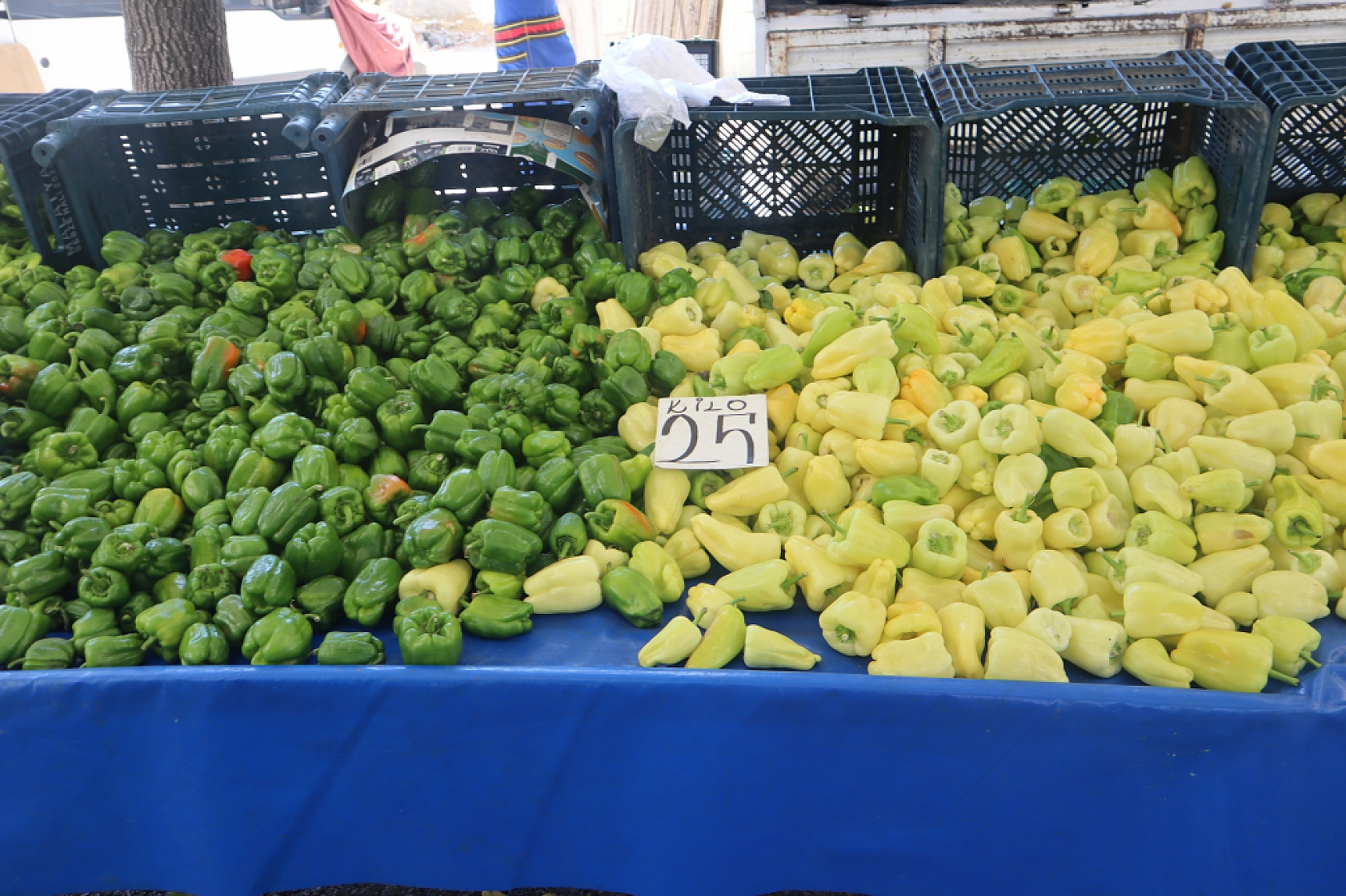 Malatya'da Sebze ve Meyve Fiyatları Patladı! Artışın Nedenleri Belli Oldu!