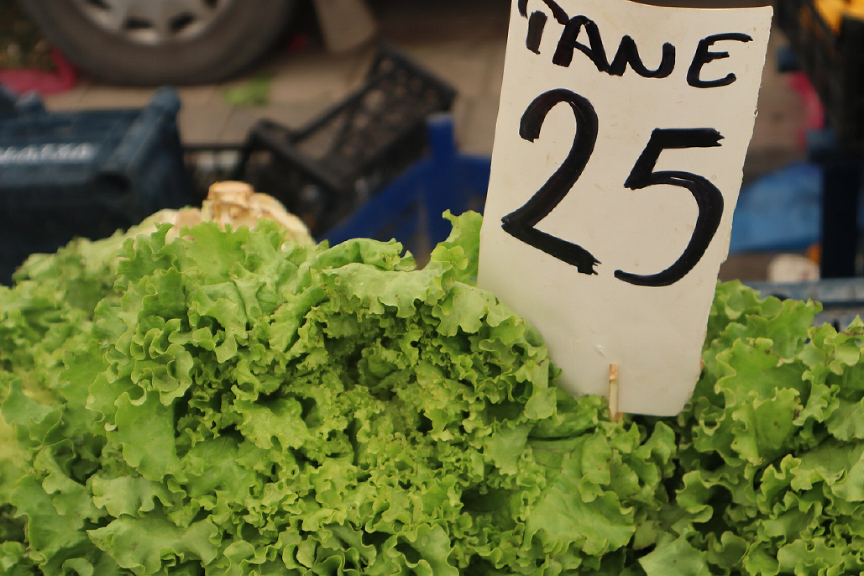 Malatya'da Bayram Öncesi Pazarlar Hareketlendi? İşte Cumartesi Pazarı Fiyatları...