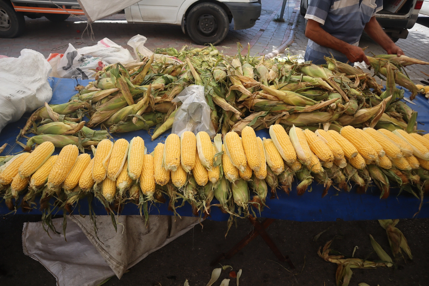 Malatya'da Destek Ödemeleri Arttırıldı…! Dekar Başına Güncel Fiyatlar Açıklandı…