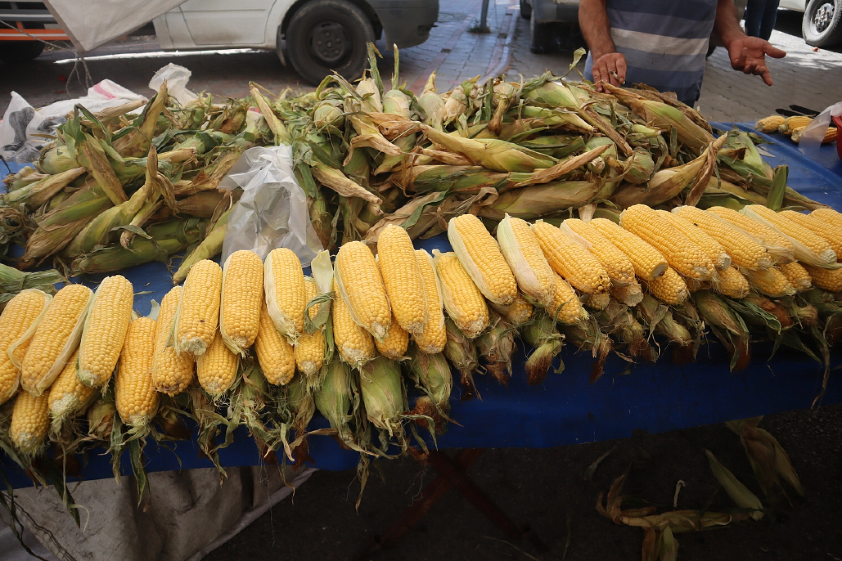 Malatya'da Destek Ödemeleri Arttırıldı…! Dekar Başına Güncel Fiyatlar Açıklandı…
