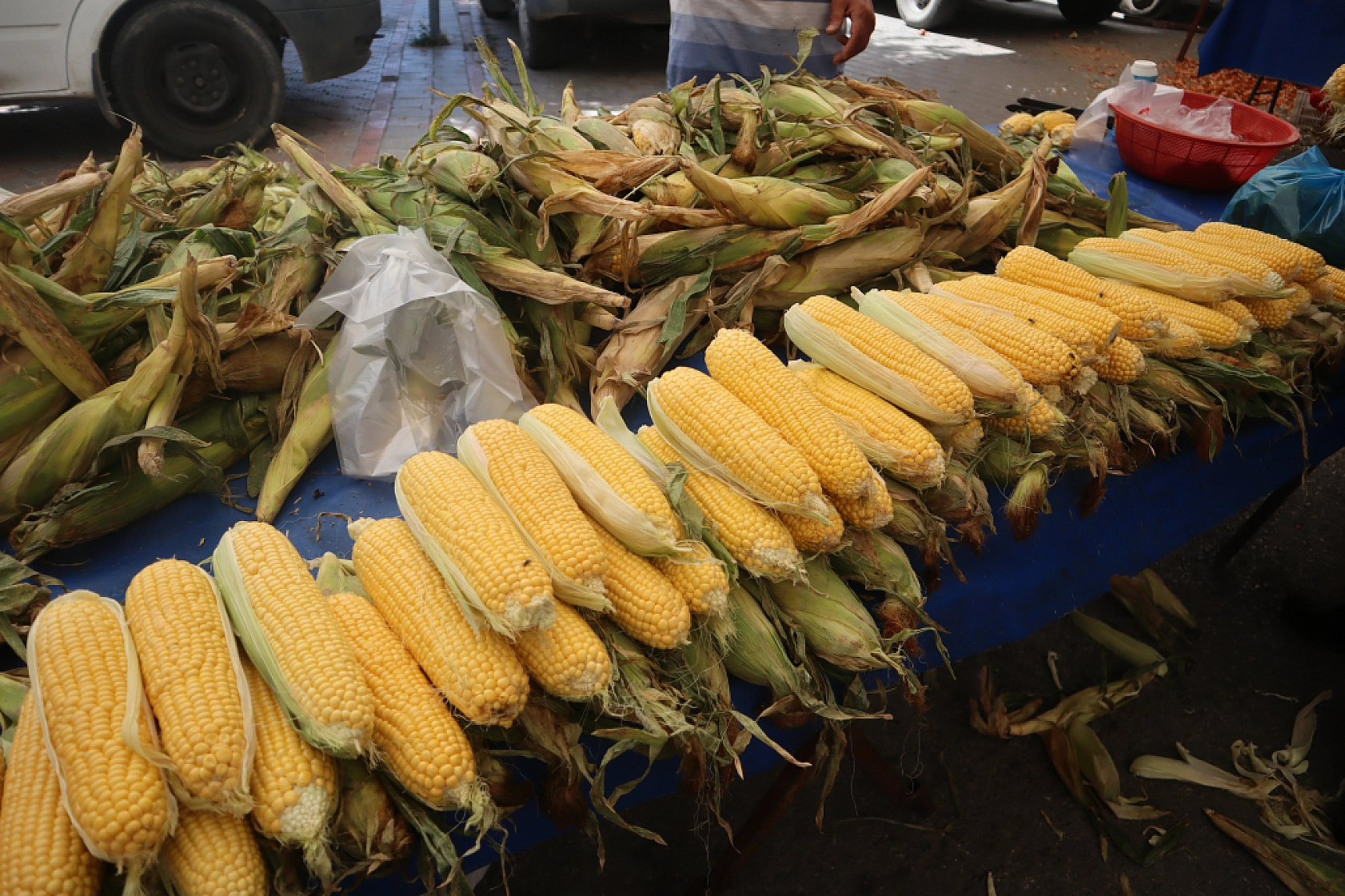 Kışlık Sebzeler Pazar Tezgahlarında Yerini Aldı! İşte Güncel Perşembe Pazarı Fiyatları…