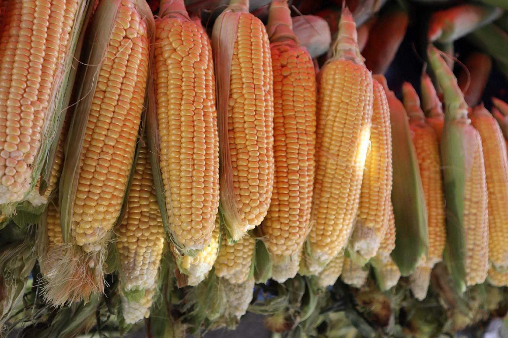 Malatya'da Bayram Öncesi Pazarlar Hareketlendi? İşte Cumartesi Pazarı Fiyatları...