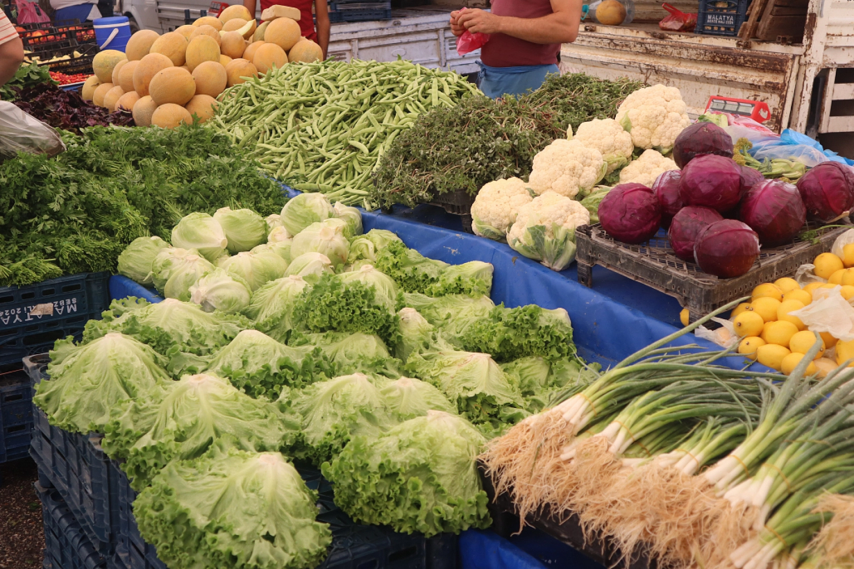 Malatya'da Sebze ve Meyve Fiyatları Patladı! Artışın Nedenleri Belli Oldu!