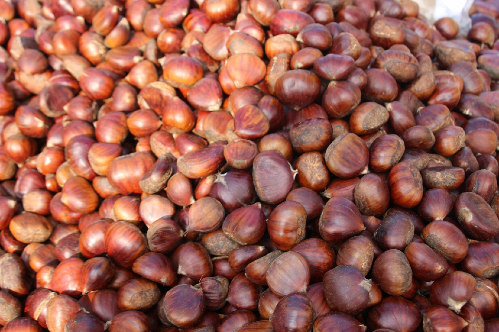 Kış Ayının Altını Kestane Oldu: Fiyatlar Vatandaşın Cebini Yaktı...