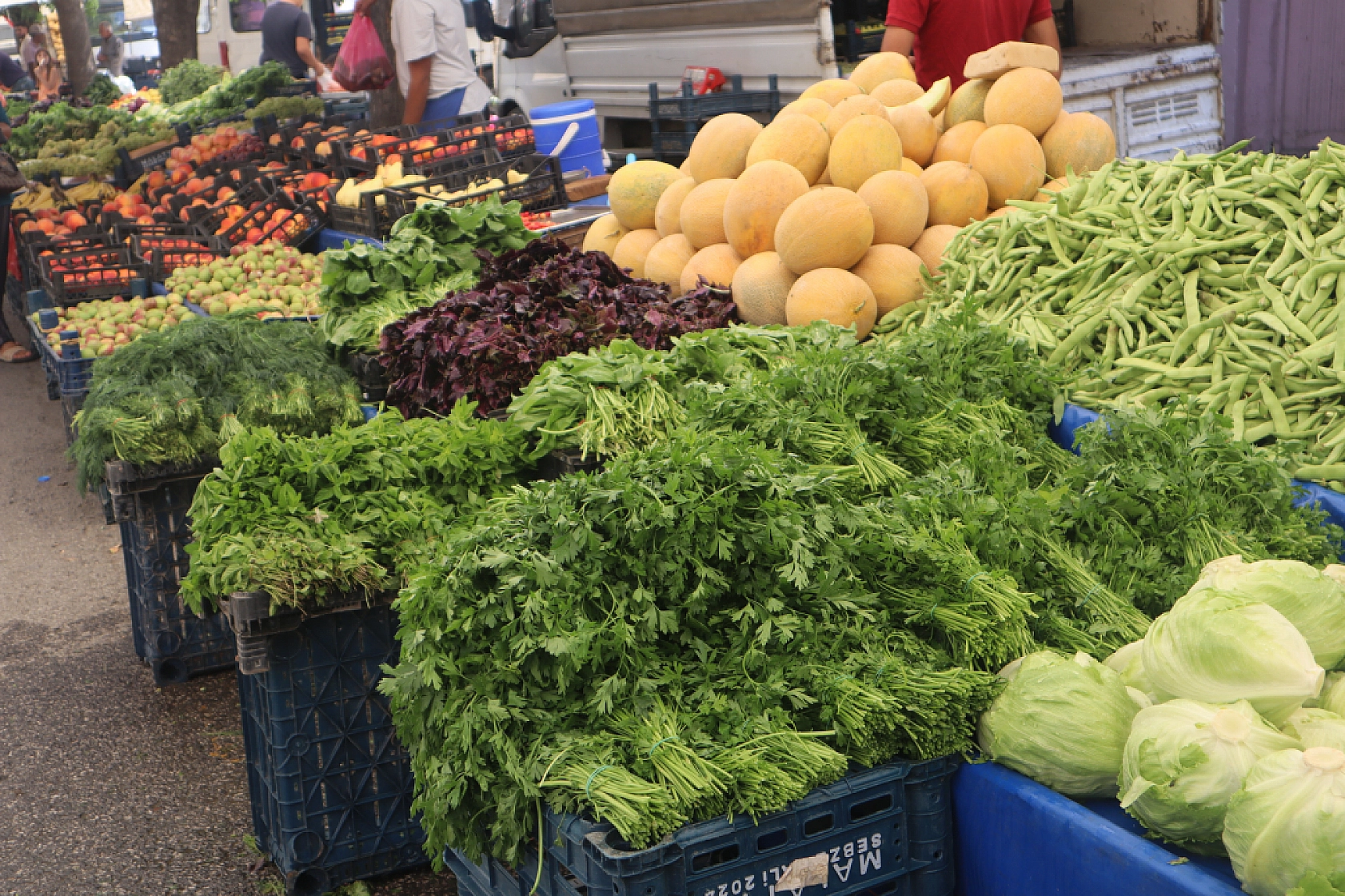 Kışlık Sebzeler Pazar Tezgahlarında Yerini Aldı! İşte Güncel Perşembe Pazarı Fiyatları…