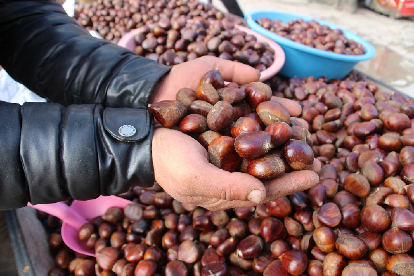 Kış Ayının Altını Kestane Oldu: Fiyatlar Vatandaşın Cebini Yaktı...
