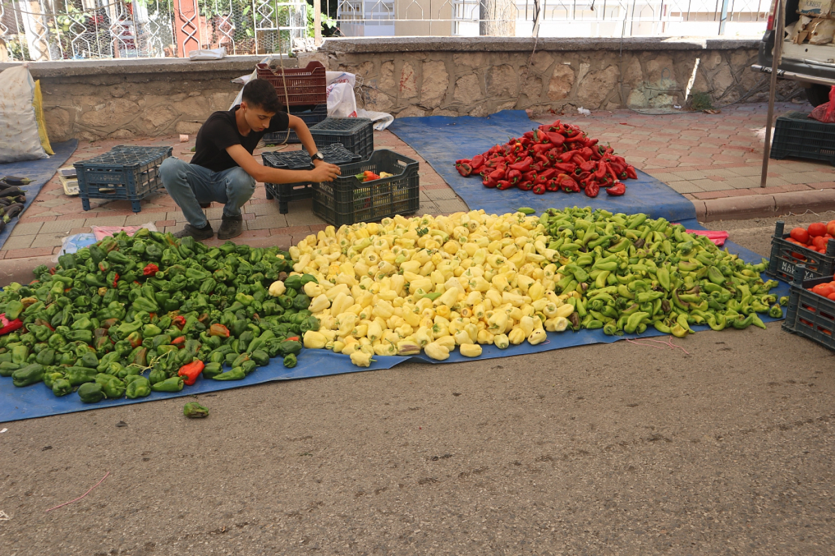 Kışlık Sebzeler Pazar Tezgahlarında Yerini Aldı! İşte Güncel Perşembe Pazarı Fiyatları…