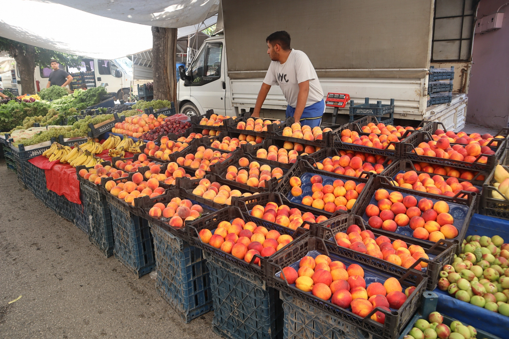 Malatya'da Sebze ve Meyve Fiyatları Patladı! Artışın Nedenleri Belli Oldu!