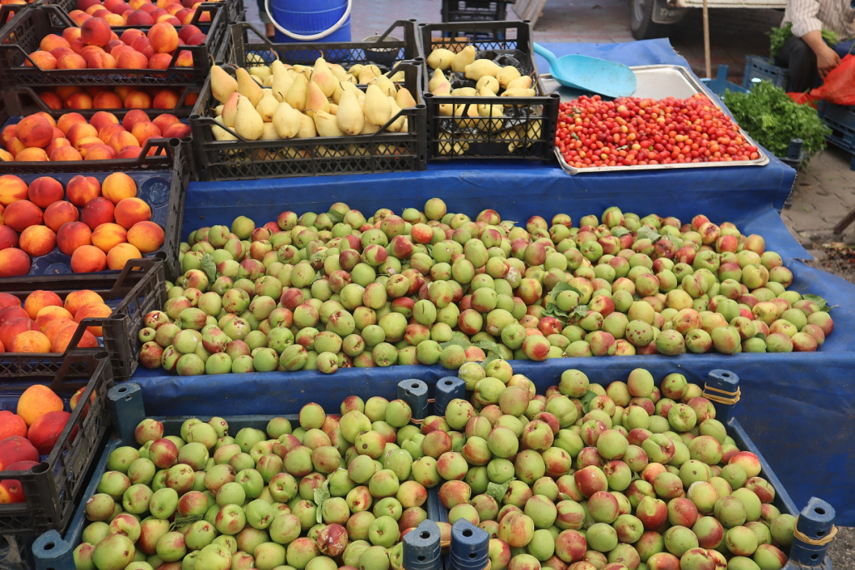Kışlık Sebzeler Pazar Tezgahlarında Yerini Aldı! İşte Güncel Perşembe Pazarı Fiyatları…
