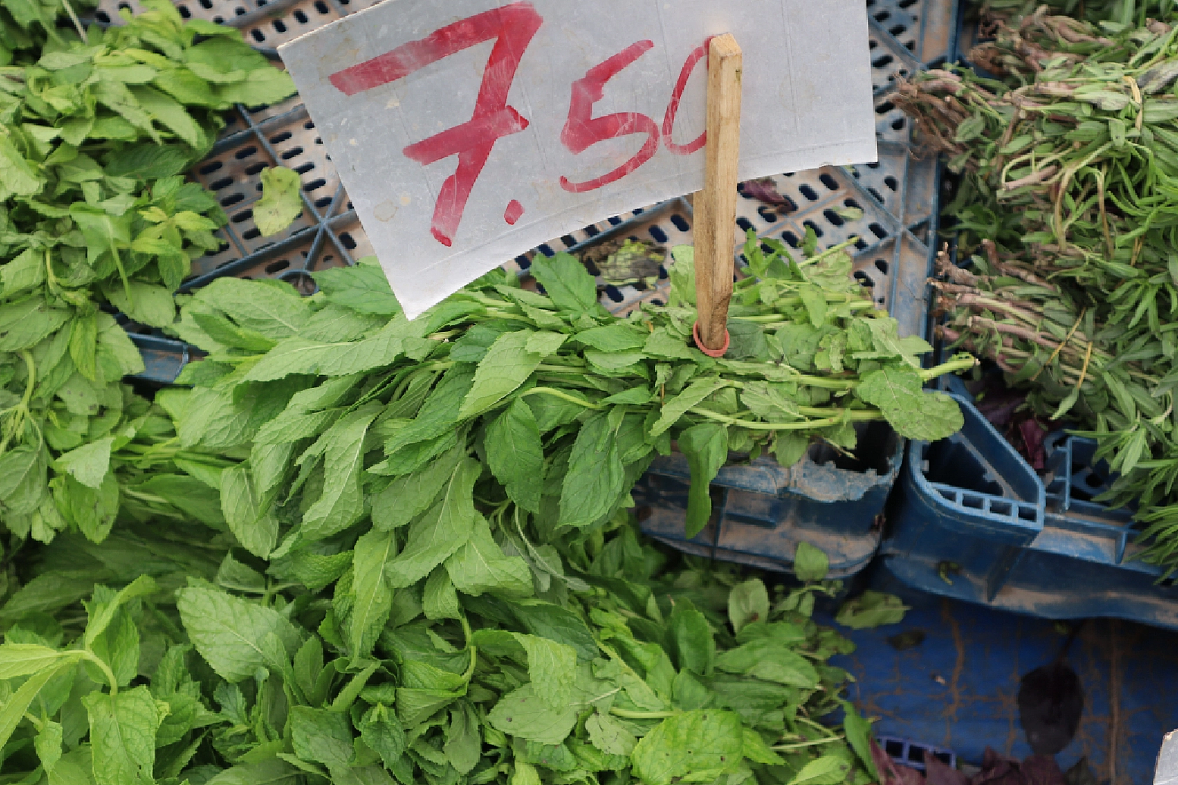 Malatya'da Bayram Öncesi Pazarlar Hareketlendi? İşte Cumartesi Pazarı Fiyatları...