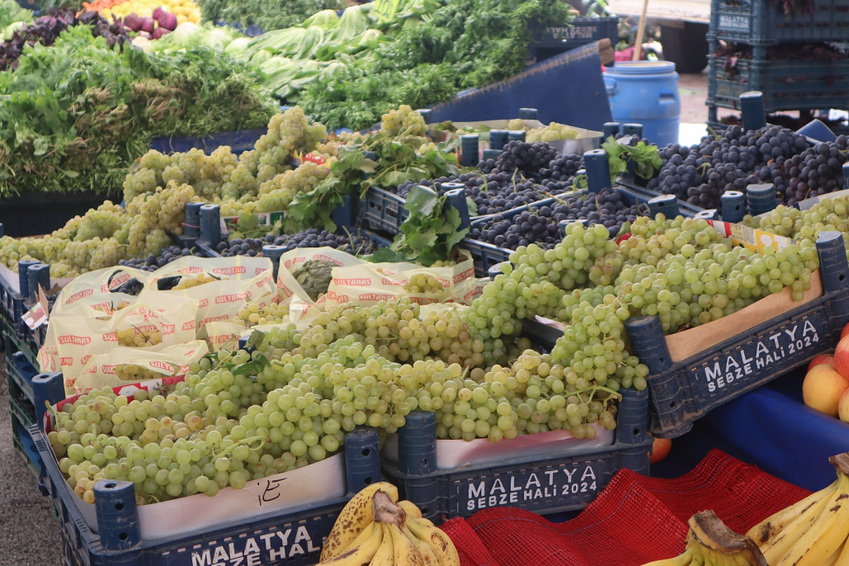 Kışlık Sebzeler Pazar Tezgahlarında Yerini Aldı! İşte Güncel Perşembe Pazarı Fiyatları…