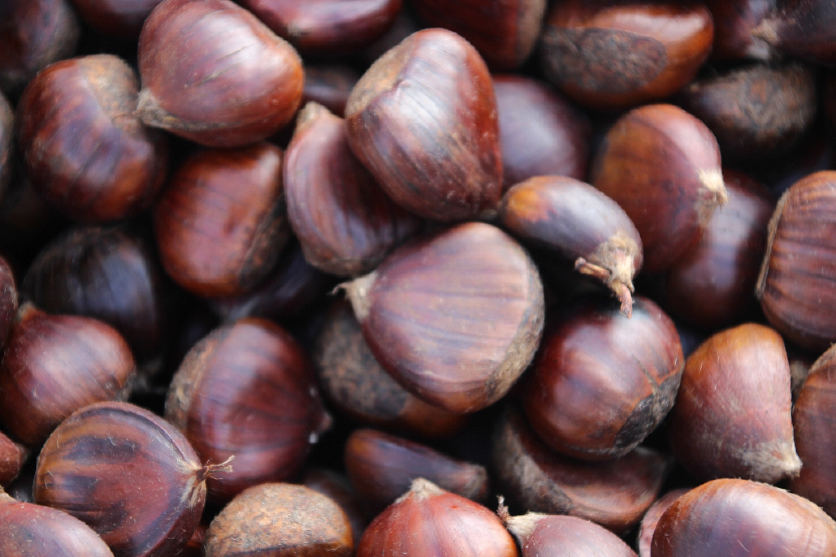 Kış Ayının Altını Kestane Oldu: Fiyatlar Vatandaşın Cebini Yaktı...