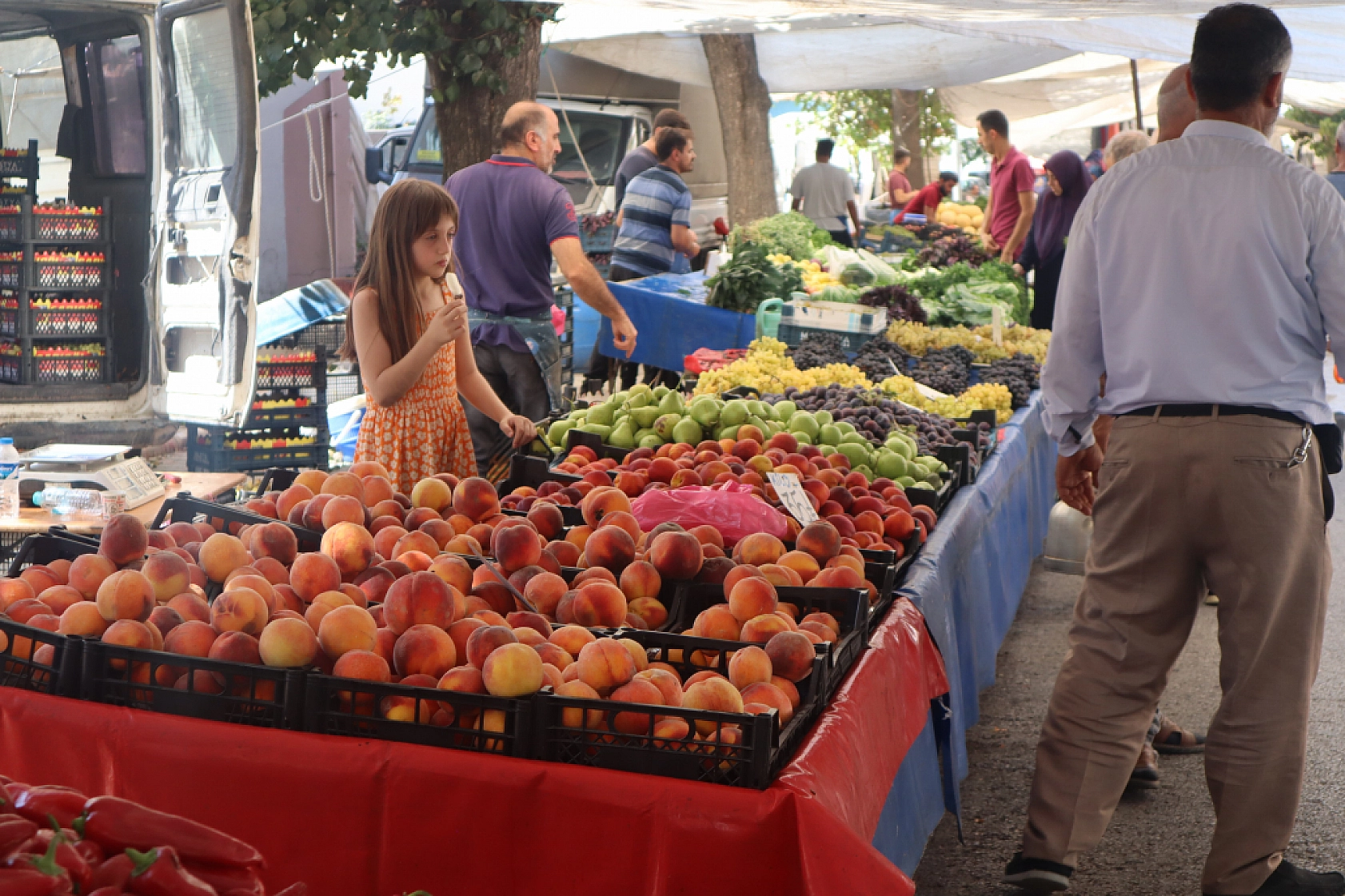 Kışlık Sebzeler Pazar Tezgahlarında Yerini Aldı! İşte Güncel Perşembe Pazarı Fiyatları…