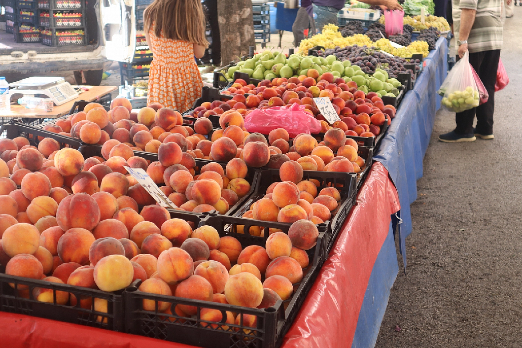 Kışlık Sebzeler Pazar Tezgahlarında Yerini Aldı! İşte Güncel Perşembe Pazarı Fiyatları…
