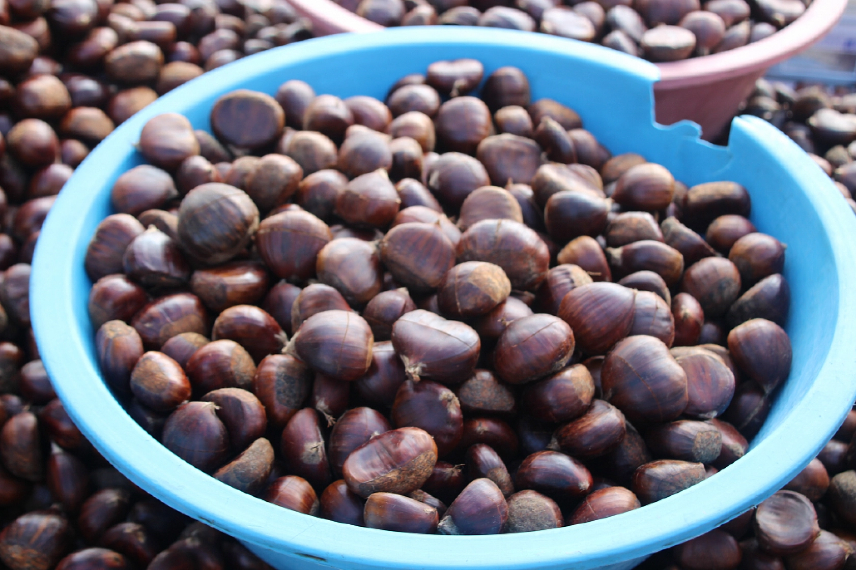 Kış Ayının Altını Kestane Oldu: Fiyatlar Vatandaşın Cebini Yaktı...