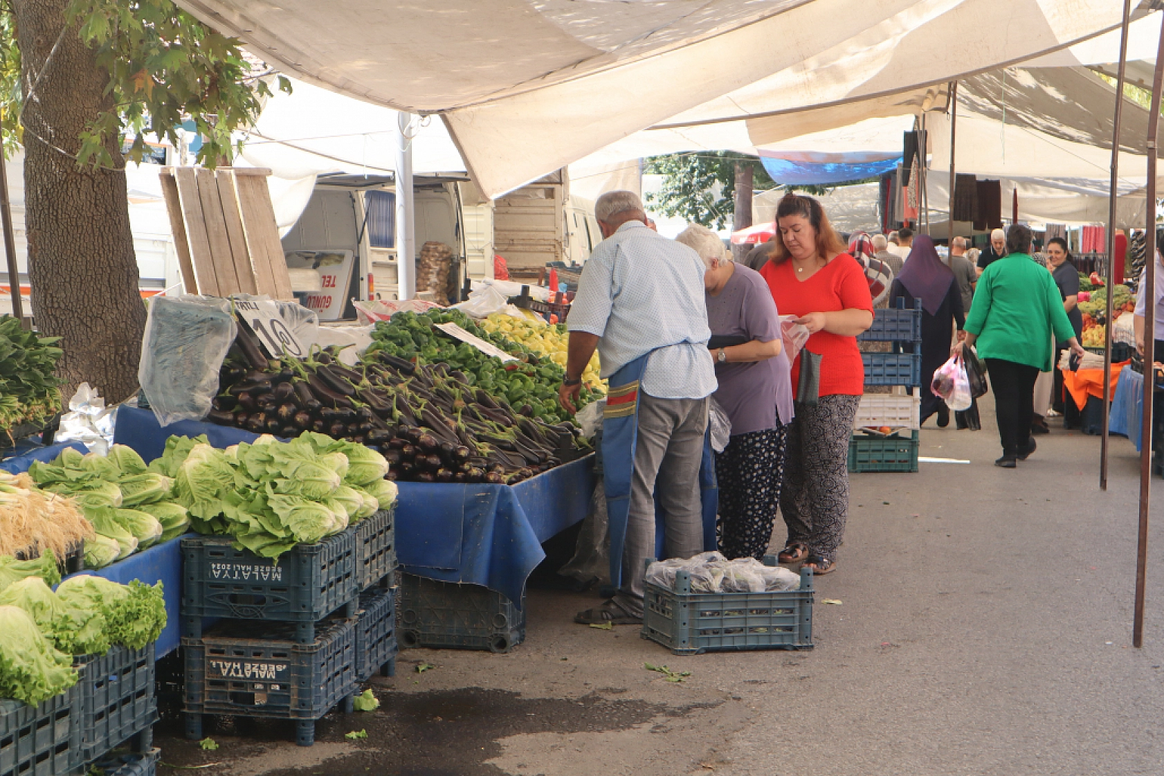 Kışlık Sebzeler Pazar Tezgahlarında Yerini Aldı! İşte Güncel Perşembe Pazarı Fiyatları…