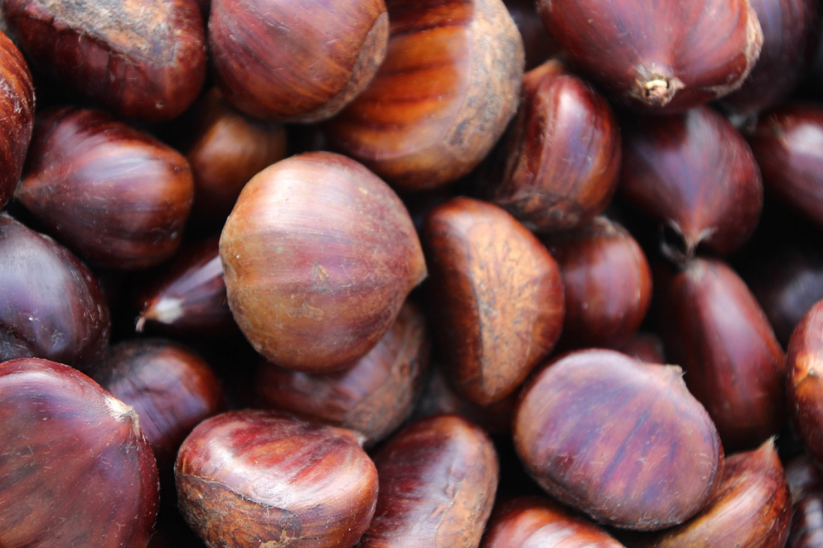 Kış Ayının Altını Kestane Oldu: Fiyatlar Vatandaşın Cebini Yaktı...