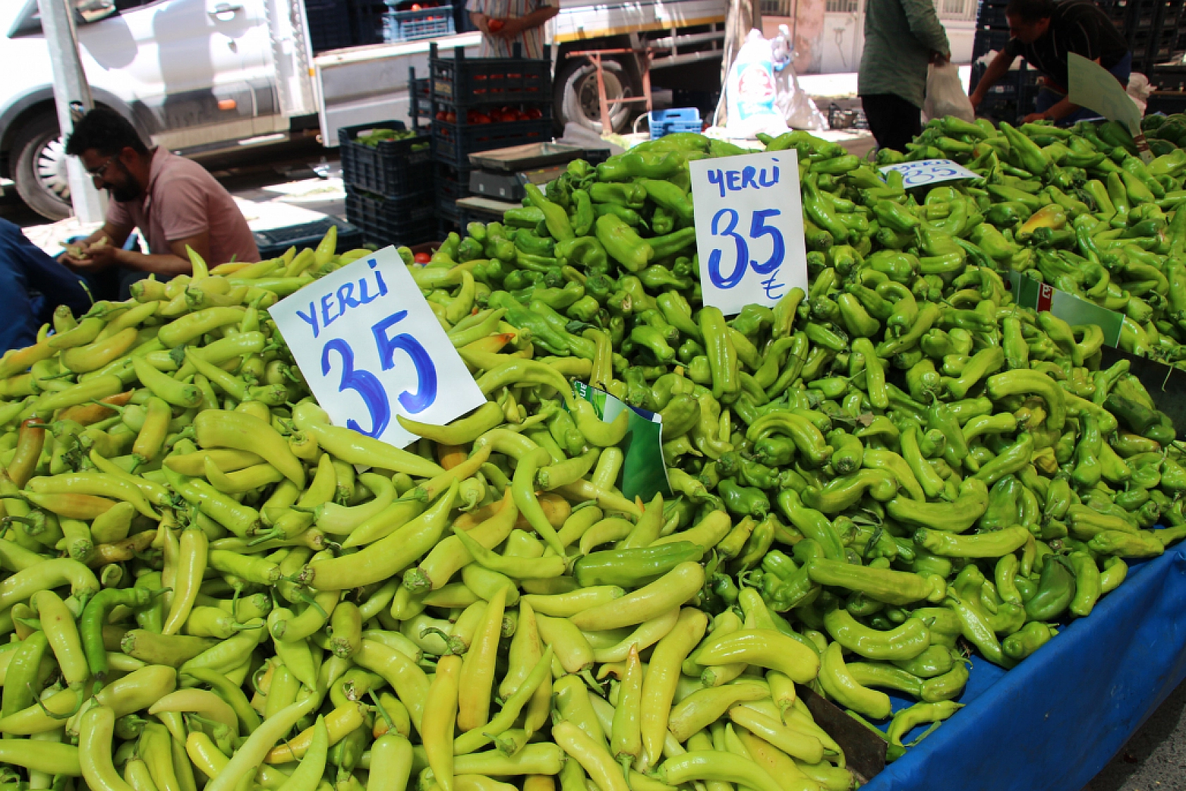 Malatya'da Semt Pazarları Dolup Taşıyor! Peki Fiyatlar nasıl? İşte Güncel Cuma Pazarı Fiyatları...