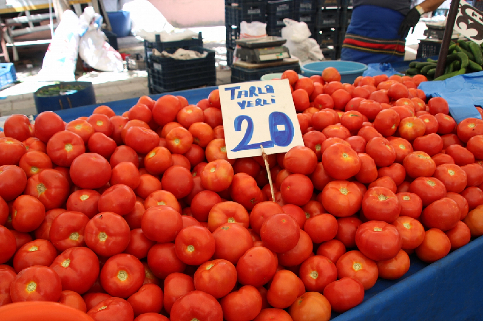 Malatya'da Semt Pazarları Dolup Taşıyor! Peki Fiyatlar nasıl? İşte Güncel Cuma Pazarı Fiyatları...