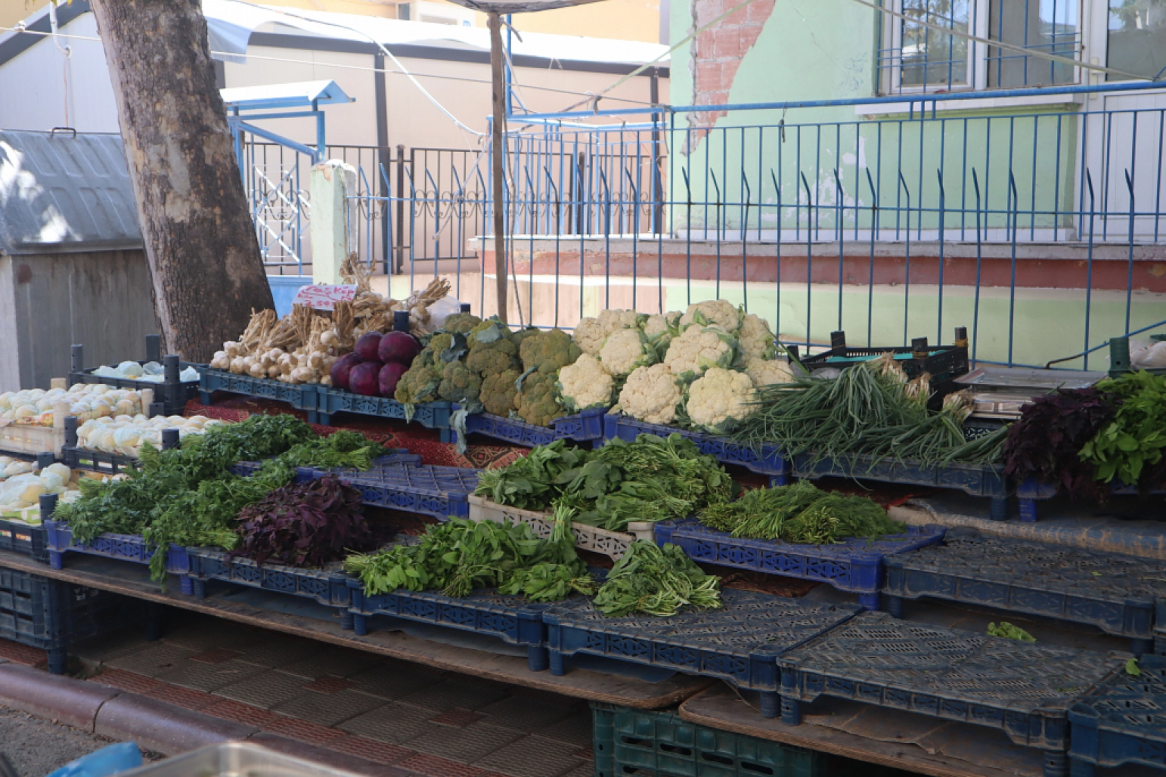 Malatyalılar Perşembe Pazarında Kışlık Sebze Alışverişine Akın Etti! İşte Fiyatlar...