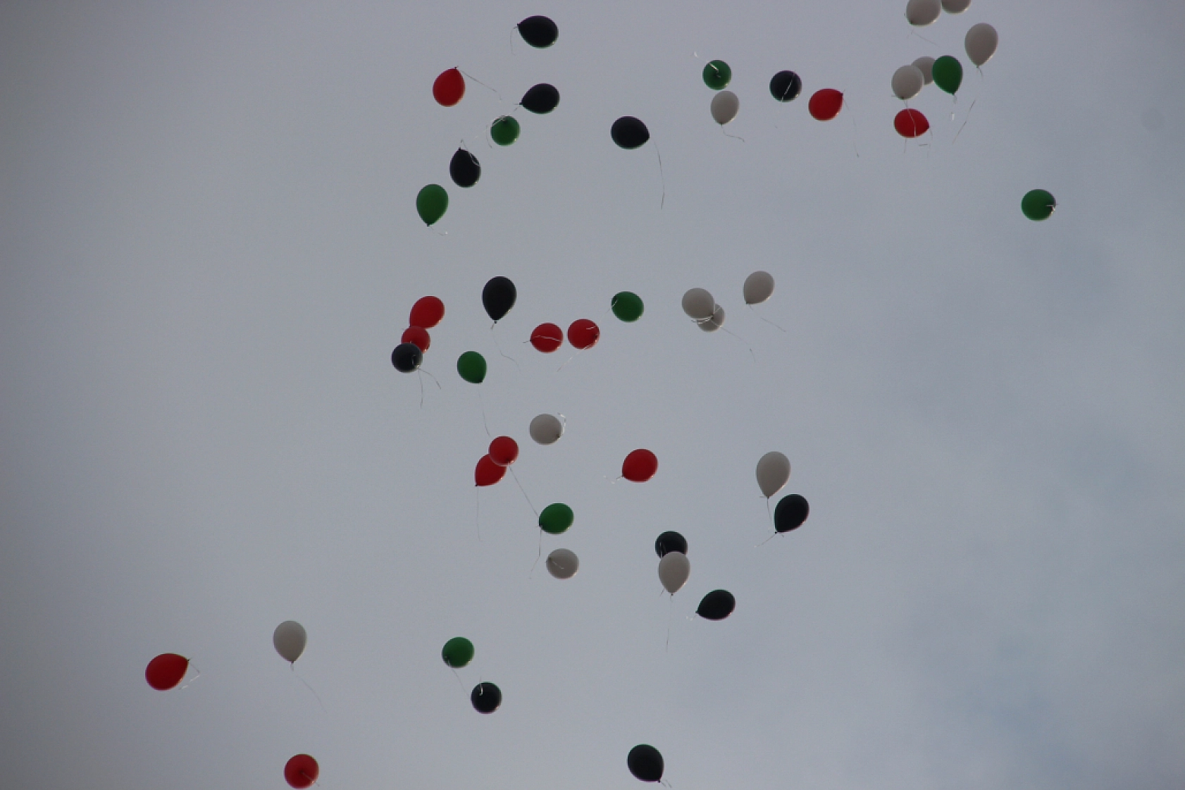 Malatya'da Çocuklar 'Dünya Şehit Çocuklar Günü' İçin Ortak Ses Oldu…