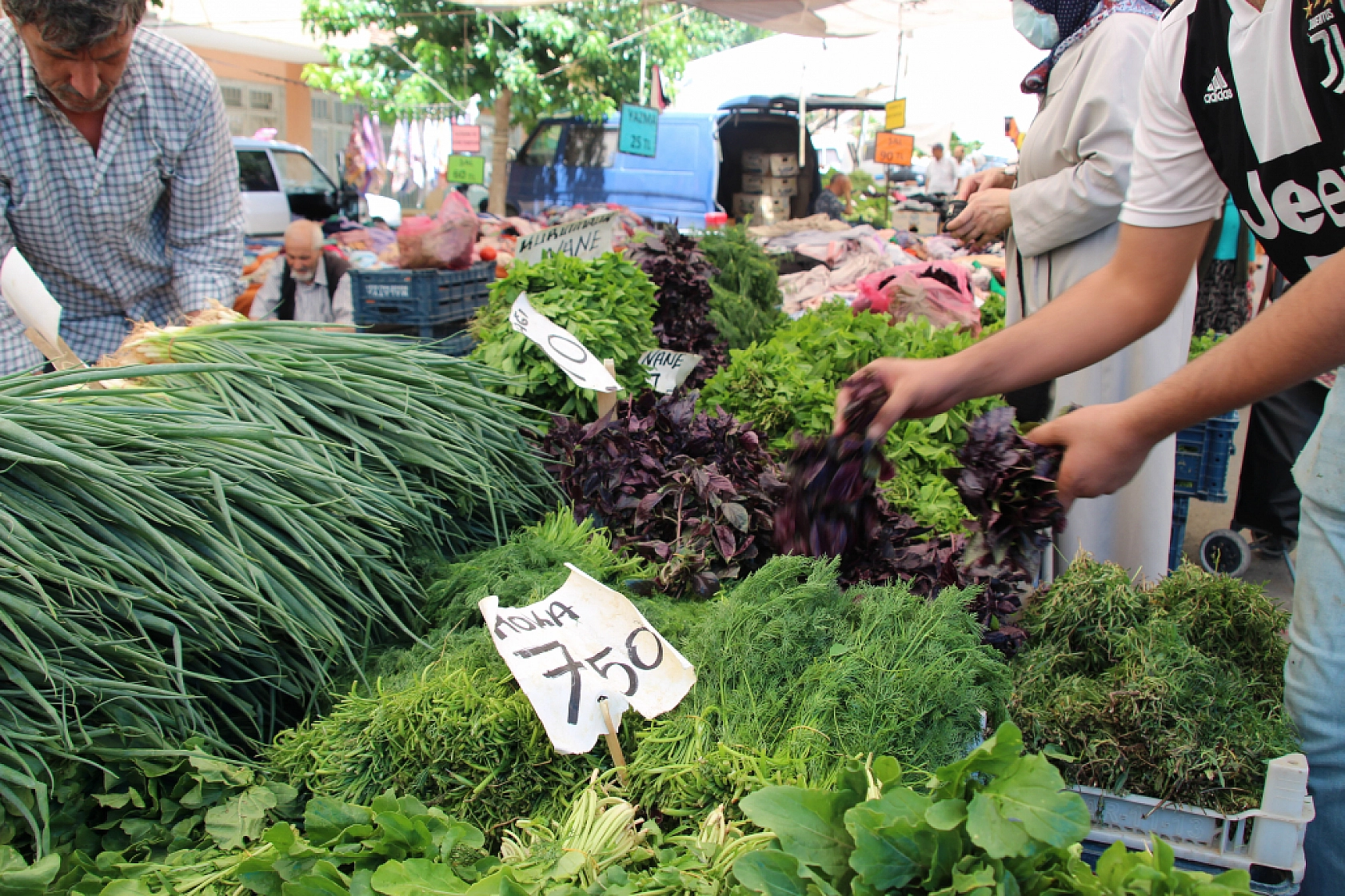 Malatya'da Semt Pazarları Dolup Taşıyor! Peki Fiyatlar nasıl? İşte Güncel Cuma Pazarı Fiyatları...