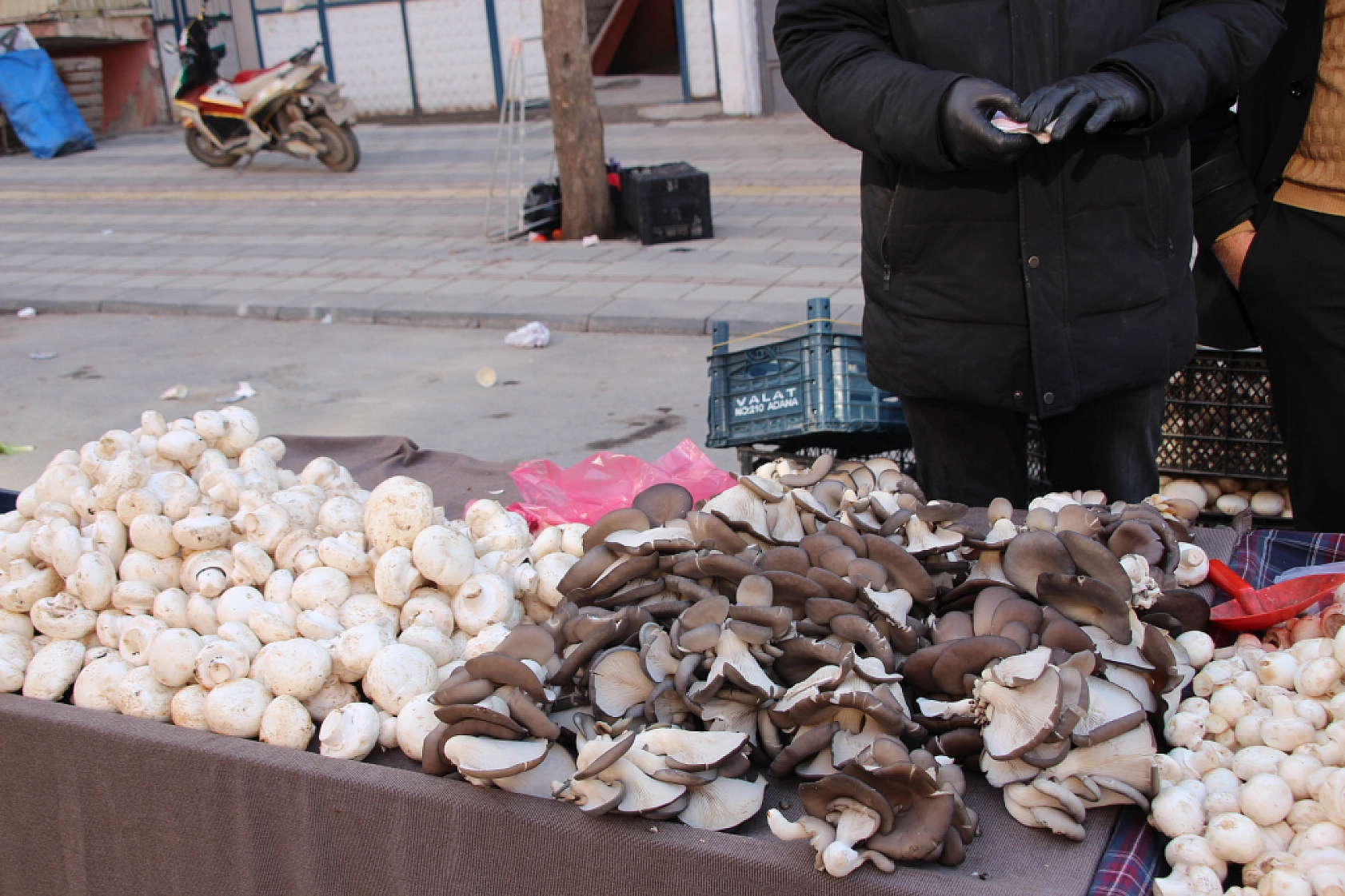 Yeni Yılda Market Fiyatları Yükseldi! Vatandaş Semt Pazarlarına Akın Etti! İşte güncel Meyve Sebze Fiyatları...