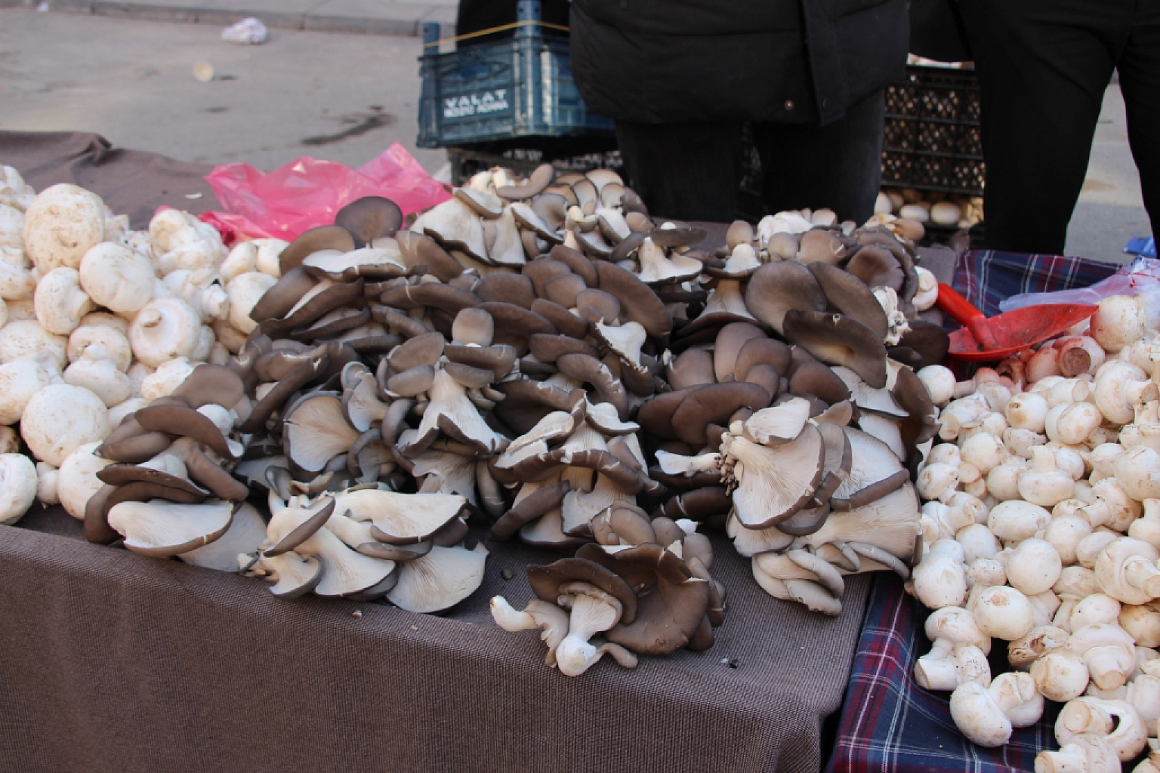 Yeni Yılda Market Fiyatları Yükseldi! Vatandaş Semt Pazarlarına Akın Etti! İşte güncel Meyve Sebze Fiyatları...