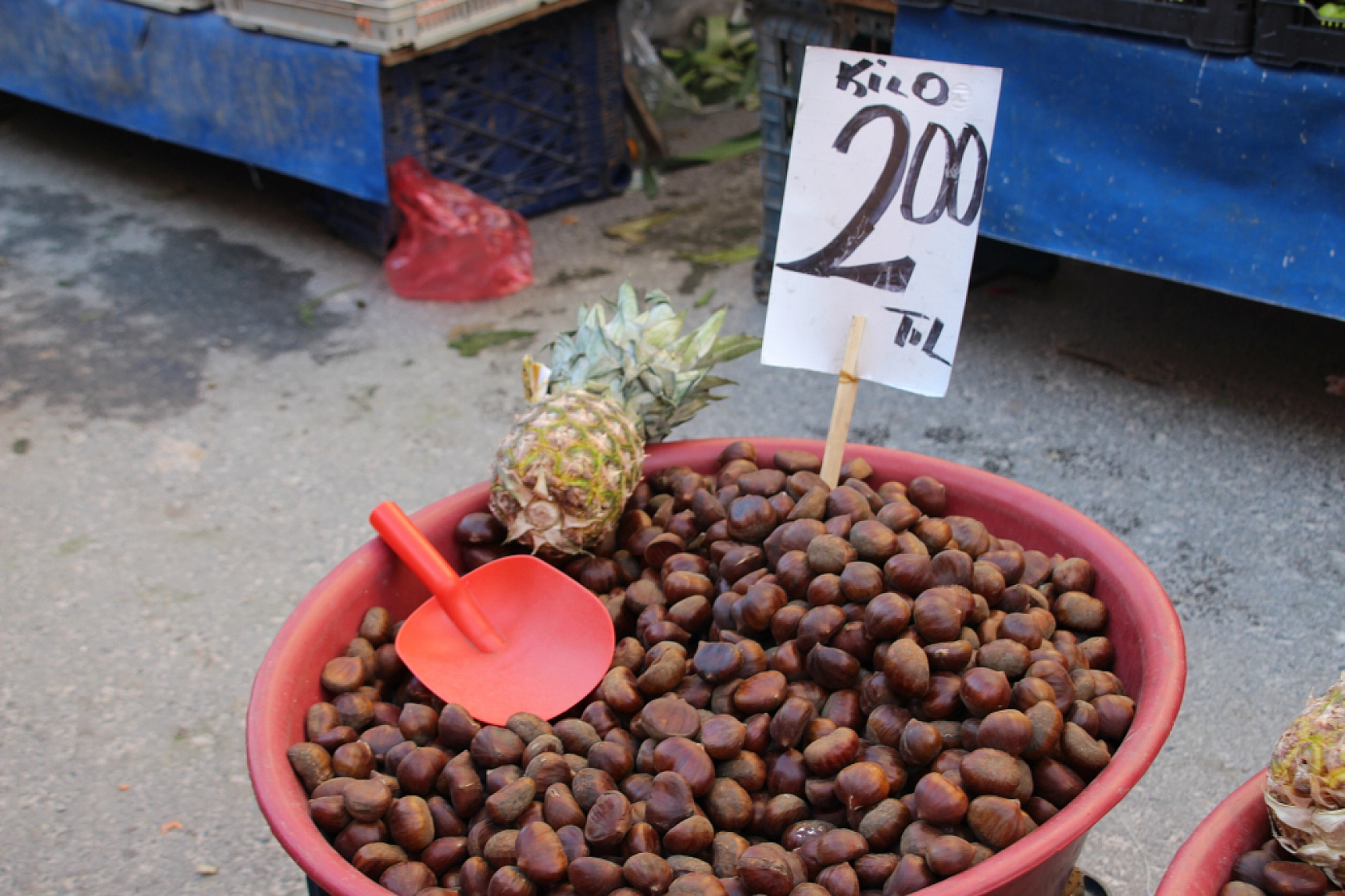 Yeni Yılda Market Fiyatları Yükseldi! Vatandaş Semt Pazarlarına Akın Etti! İşte güncel Meyve Sebze Fiyatları...