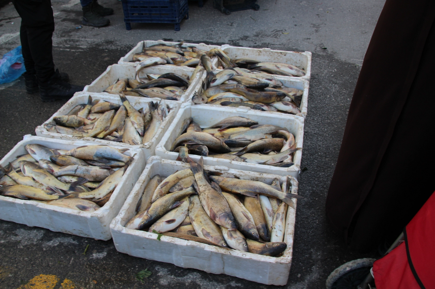 Yeni Yılda Market Fiyatları Yükseldi! Vatandaş Semt Pazarlarına Akın Etti! İşte güncel Meyve Sebze Fiyatları...