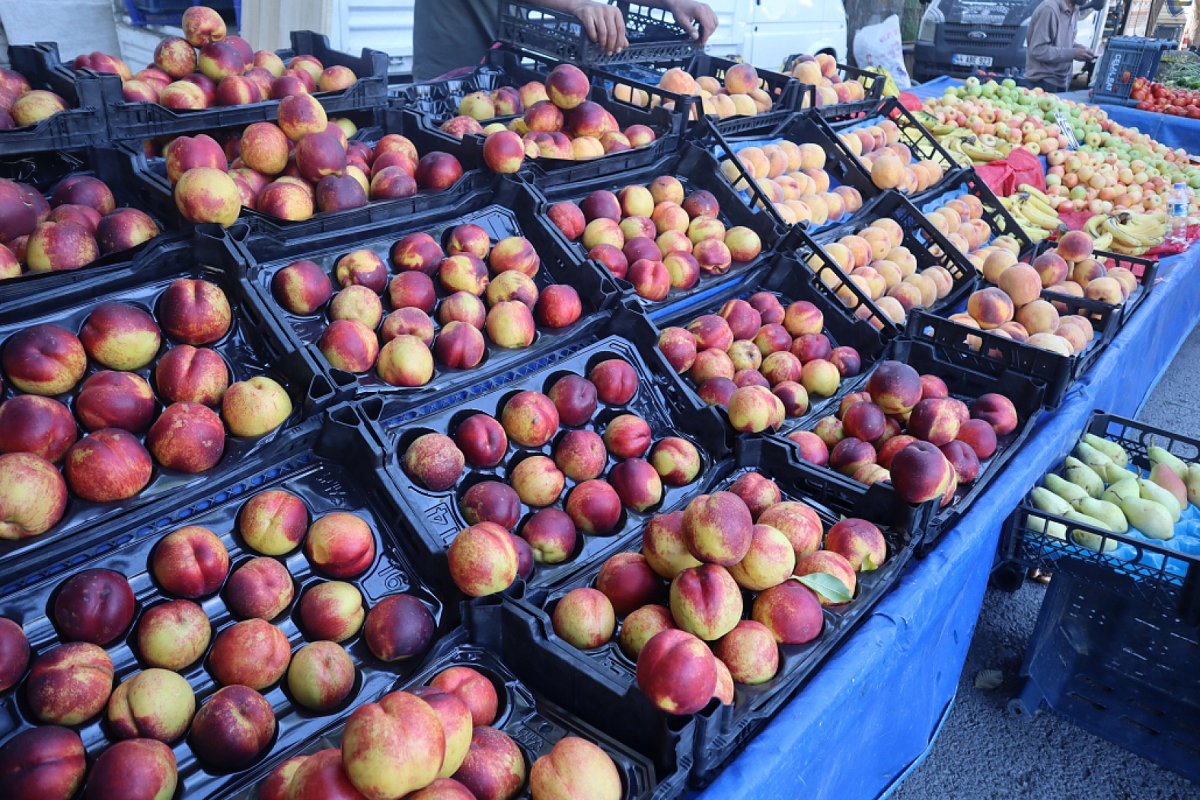Taze ve Uygun Fiyatlı Ürünler İçin Malatyalılar Perşembe Pazarı'nda Buluşuyor!