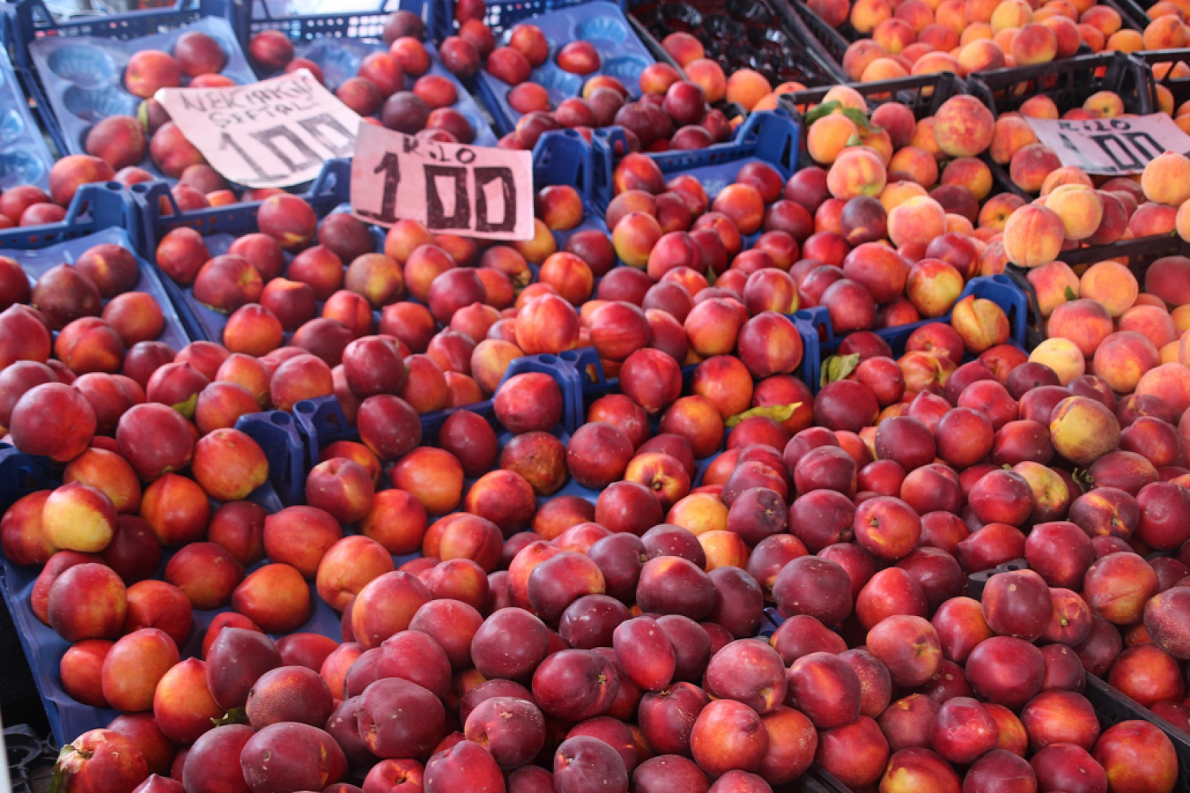 Malatya'da Sebzede Yüzler Güldü, Meyvede Cepler Yandı! Peki, Hangi Meyve ve Sebze Ne Kadar Oldu?