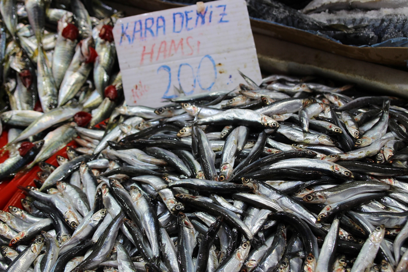 Balık Pazarlarında Fiyat Artışı! En Ucuz Balık Hangisi? İşte Detaylar...