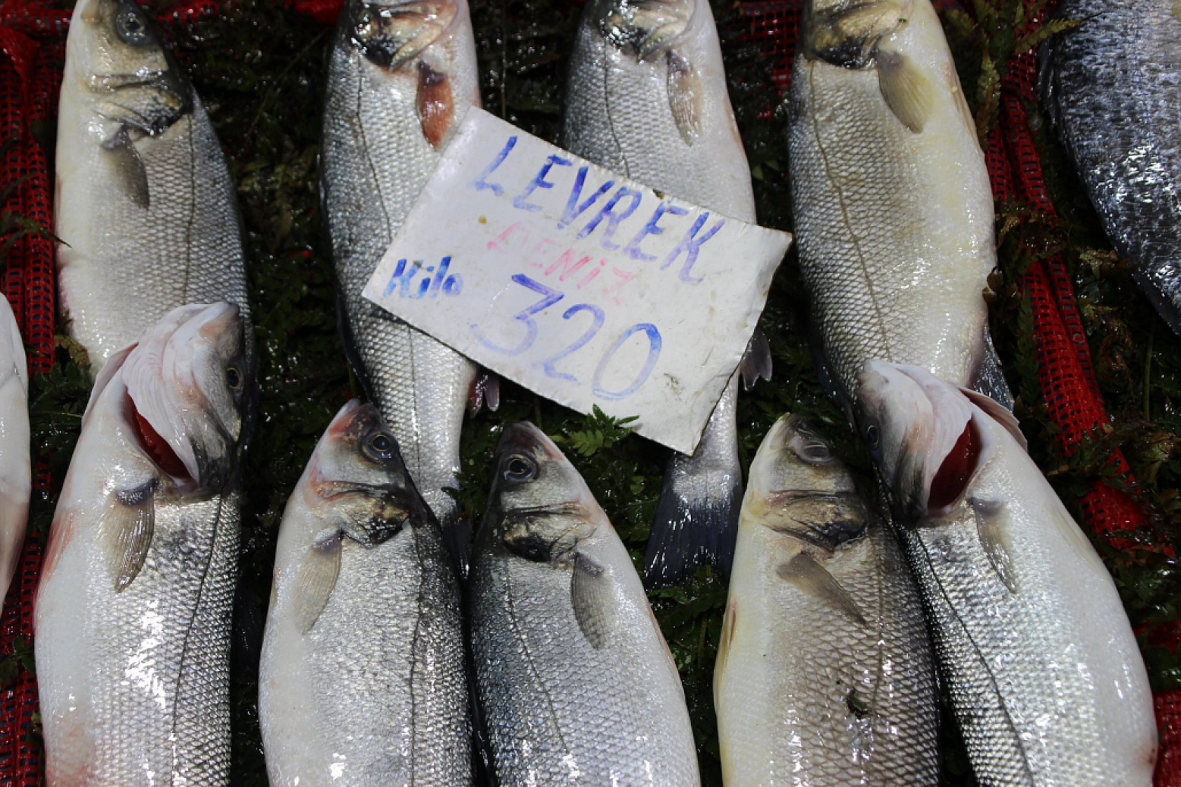 Balık Pazarlarında Fiyat Artışı! En Ucuz Balık Hangisi? İşte Detaylar...