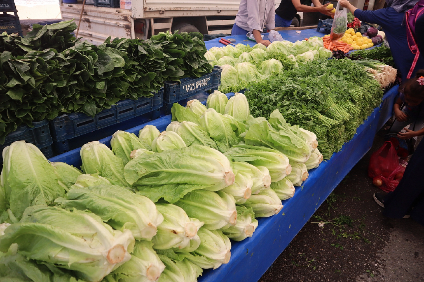 Taze ve Uygun Fiyatlı Ürünler İçin Malatyalılar Perşembe Pazarı'nda Buluşuyor!