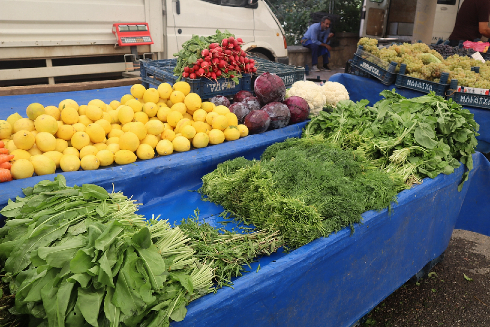 Taze ve Uygun Fiyatlı Ürünler İçin Malatyalılar Perşembe Pazarı'nda Buluşuyor!