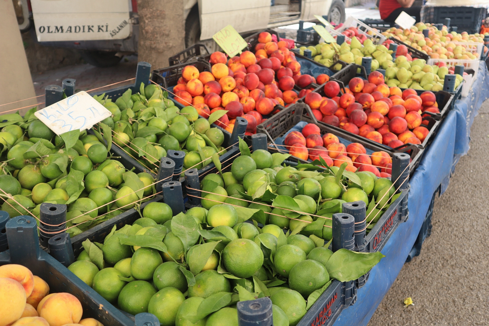 Taze ve Uygun Fiyatlı Ürünler İçin Malatyalılar Perşembe Pazarı'nda Buluşuyor!