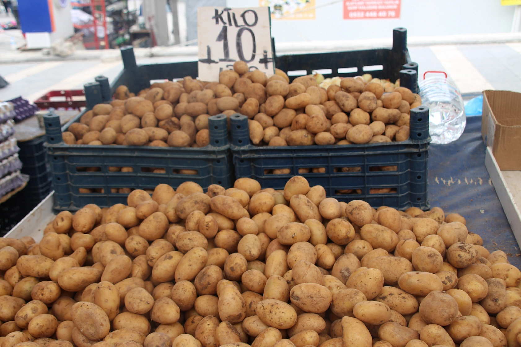 Malatya'da Sebzede Yüzler Güldü, Meyvede Cepler Yandı! Peki, Hangi Meyve ve Sebze Ne Kadar Oldu?