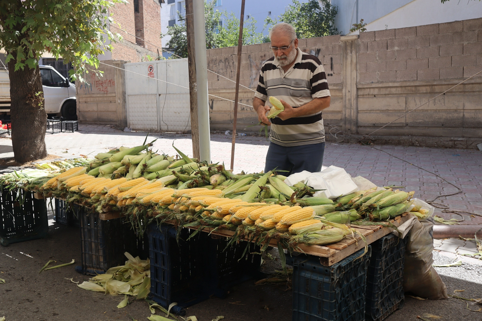 Taze ve Uygun Fiyatlı Ürünler İçin Malatyalılar Perşembe Pazarı'nda Buluşuyor!