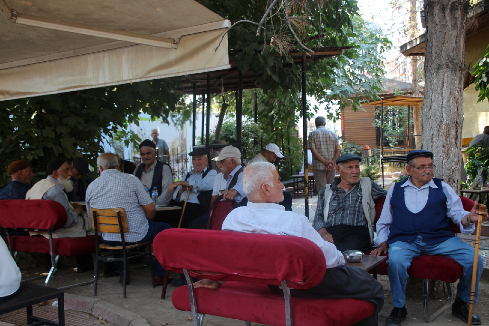 Malatya'daki Emekli Vatandaşlara Müjde! Bankalar Emekli Promosyonlarını Açıkladı! Hangi Banka Daha Çok Verecek?