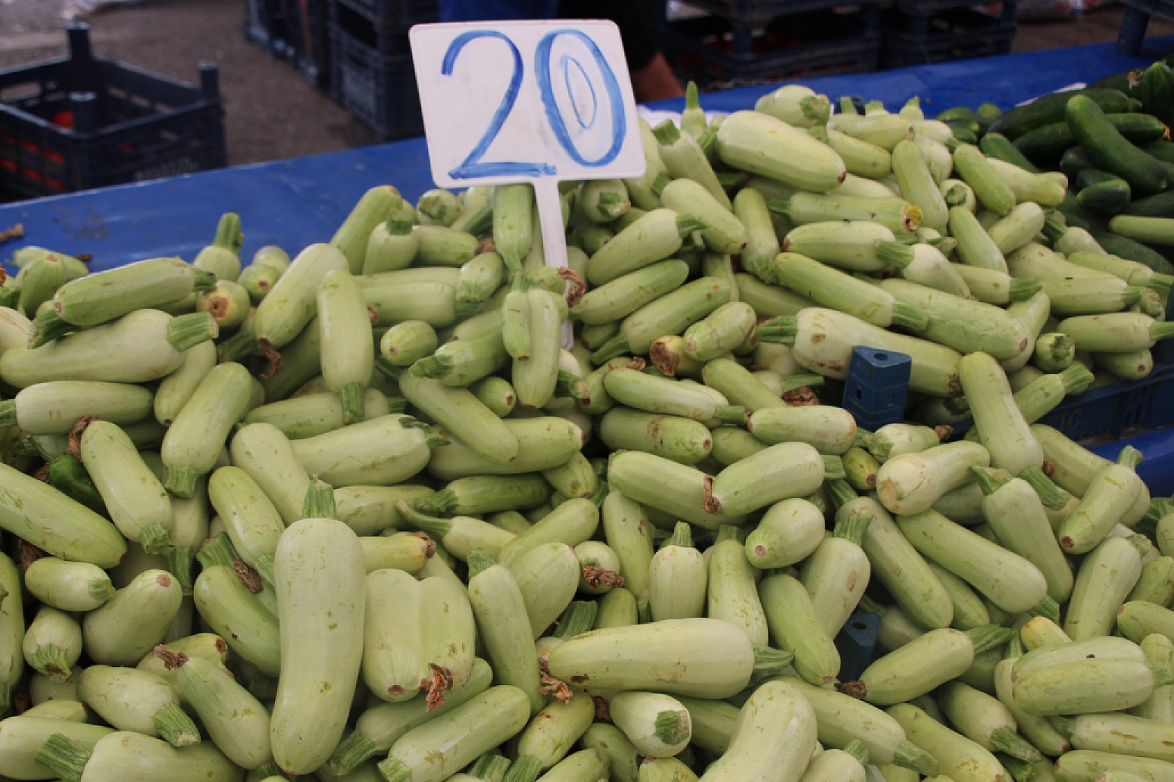 Malatya'da Sebzede Yüzler Güldü, Meyvede Cepler Yandı! Peki, Hangi Meyve ve Sebze Ne Kadar Oldu?
