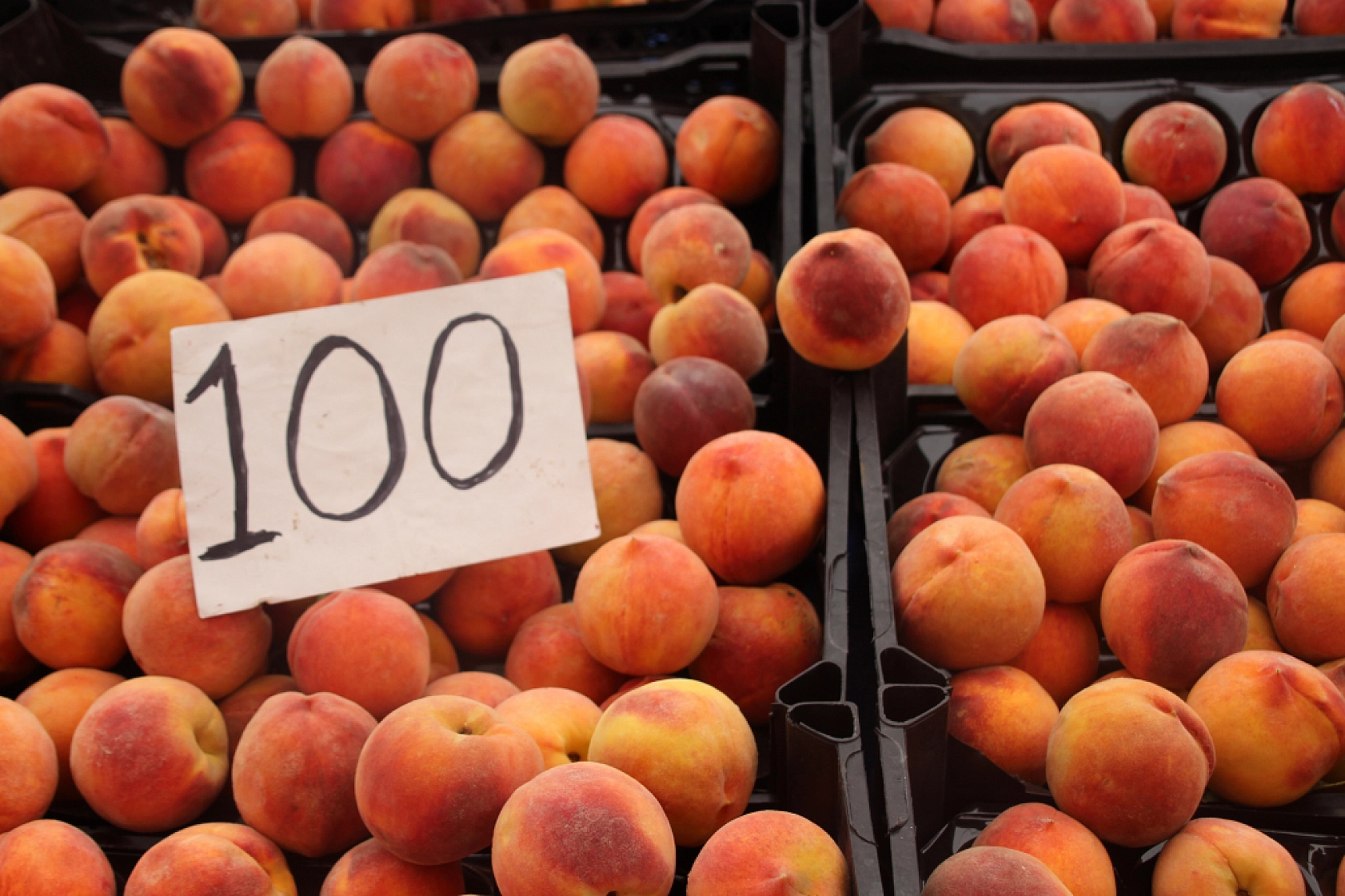Malatya'da Sebzede Yüzler Güldü, Meyvede Cepler Yandı! Peki, Hangi Meyve ve Sebze Ne Kadar Oldu?