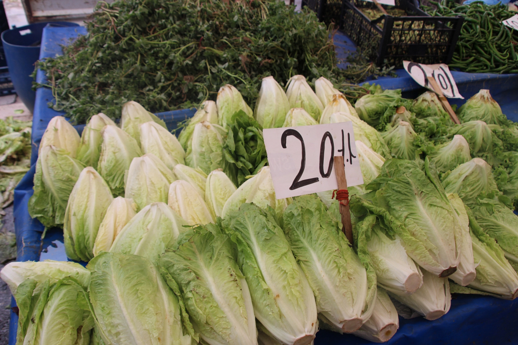 Malatya'da Sebzede Yüzler Güldü, Meyvede Cepler Yandı! Peki, Hangi Meyve ve Sebze Ne Kadar Oldu?