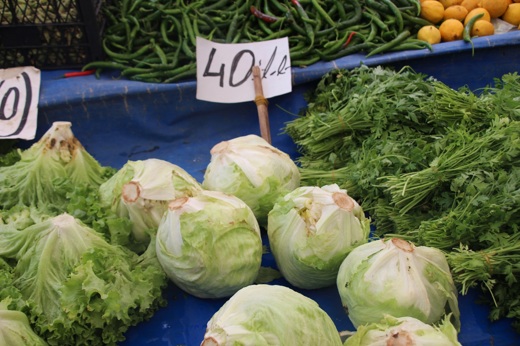 Malatya'da Sebzede Yüzler Güldü, Meyvede Cepler Yandı! Peki, Hangi Meyve ve Sebze Ne Kadar Oldu?