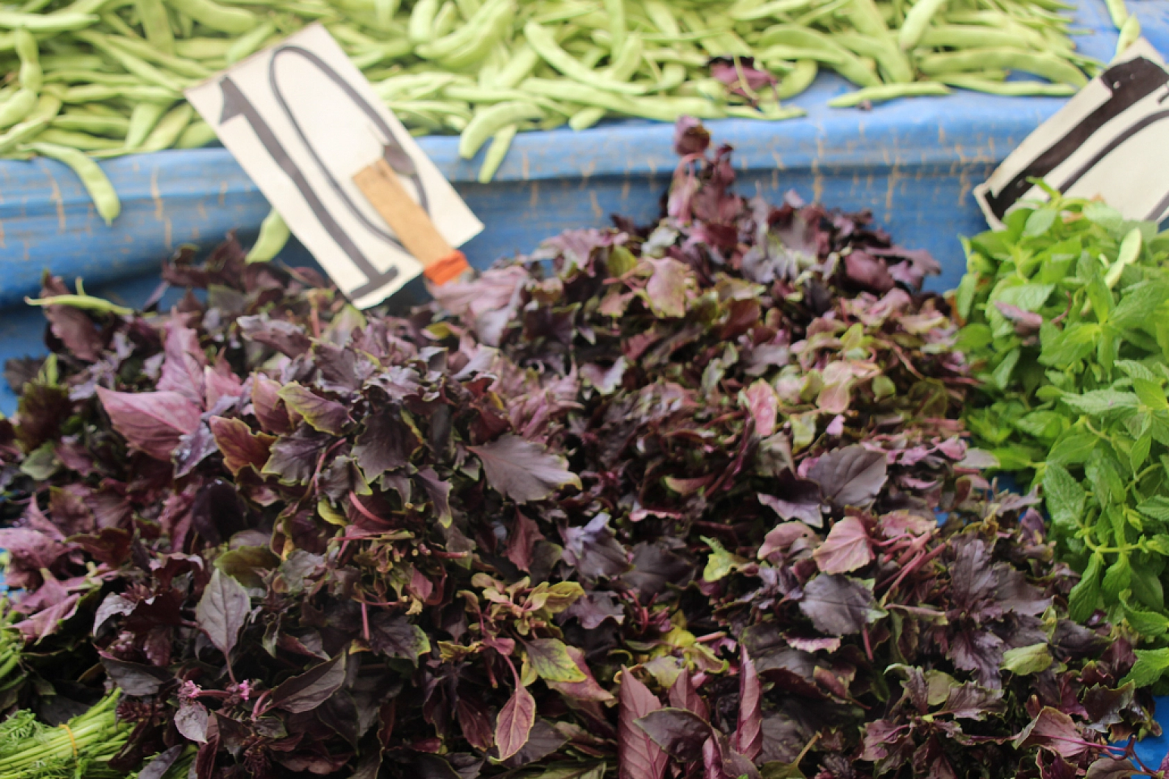 Malatya'da Sebzede Yüzler Güldü, Meyvede Cepler Yandı! Peki, Hangi Meyve ve Sebze Ne Kadar Oldu?