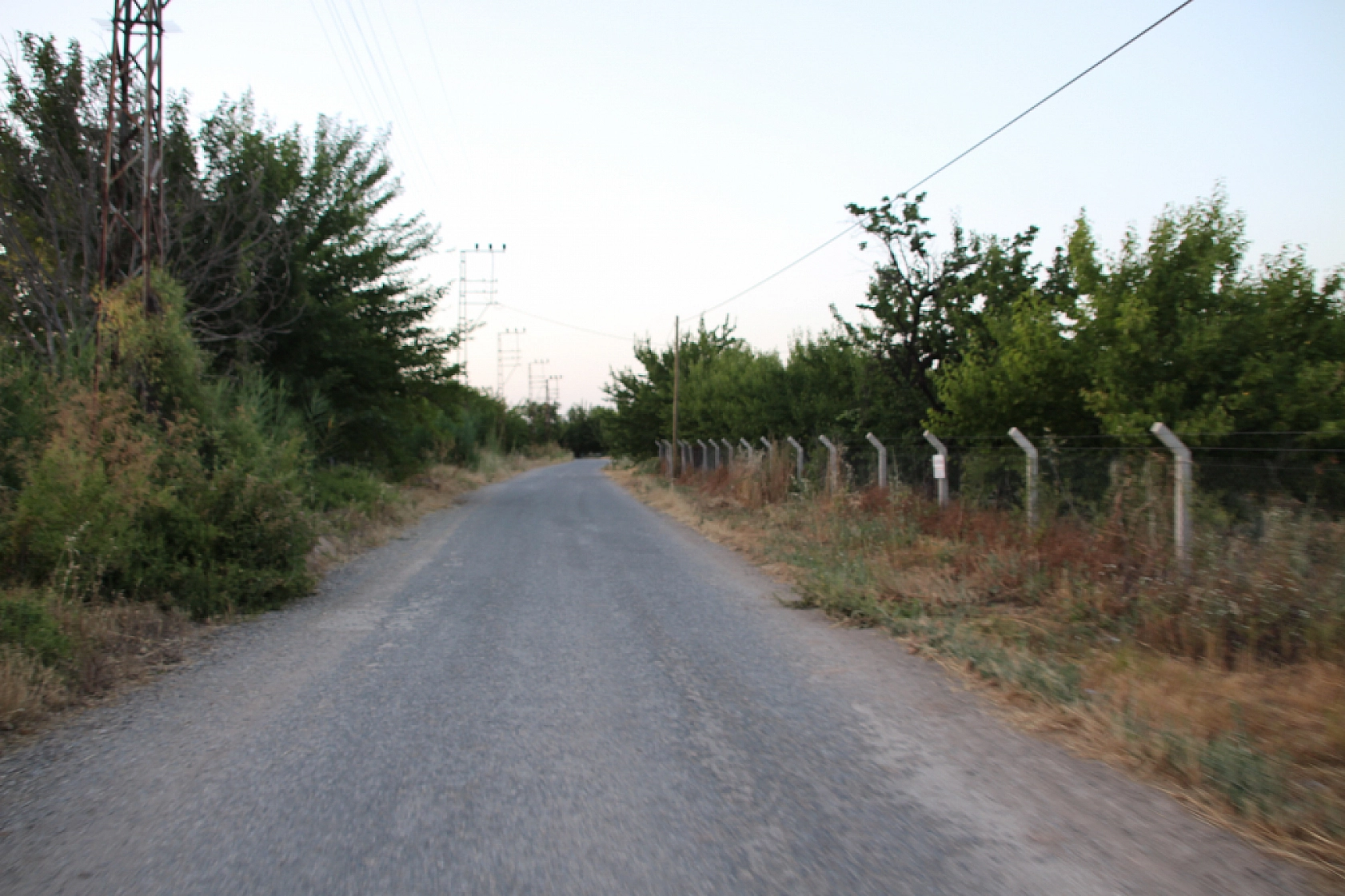 Rekolte Sevinci İşçi Kriziyle Gölgeleniyor! 'Sarı Altın Bol, İşçi Az'