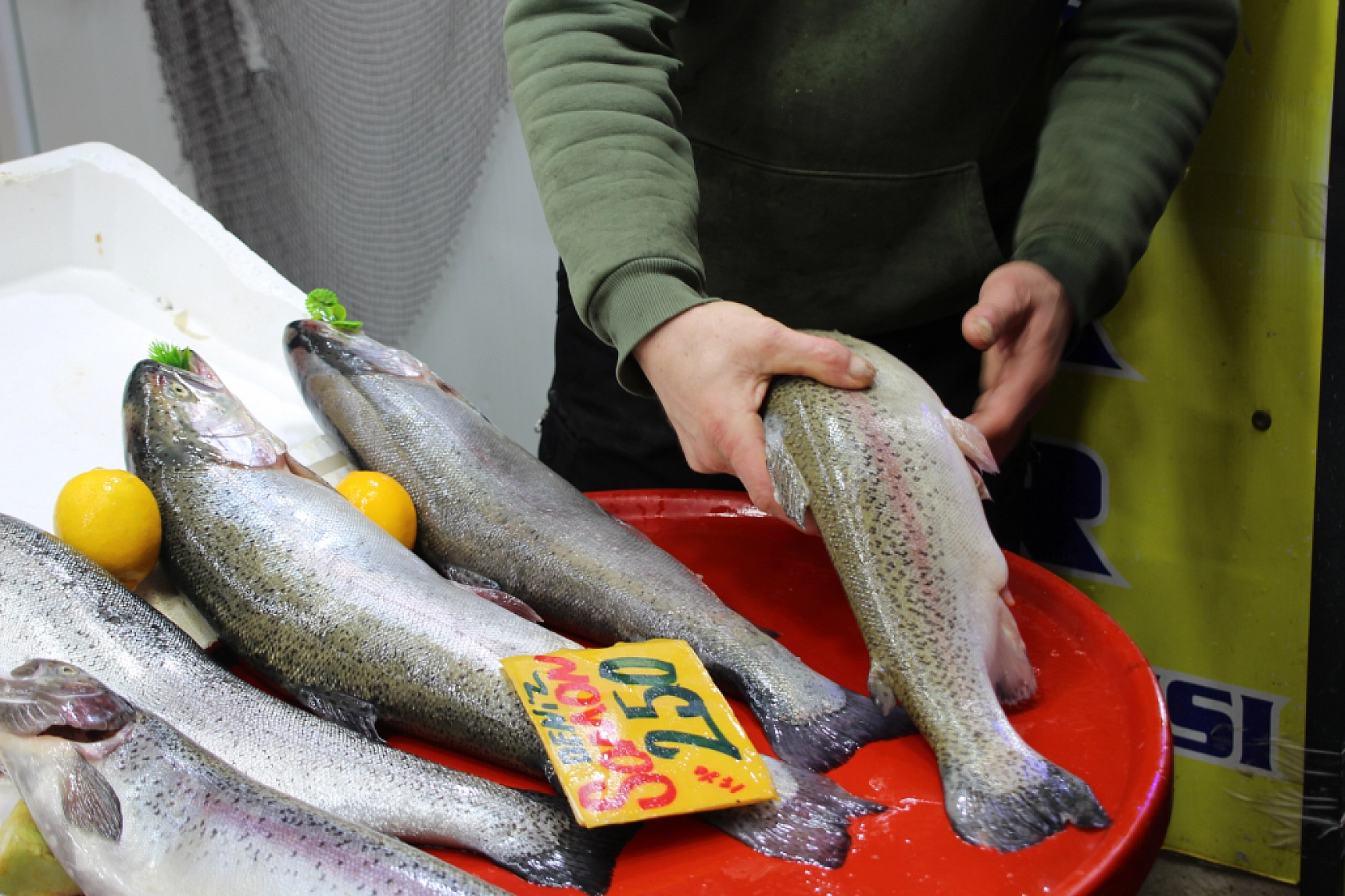 Balık Pazarlarında Fiyat Artışı! En Ucuz Balık Hangisi? İşte Detaylar...