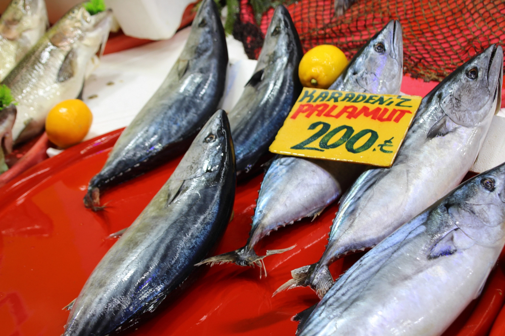 Balık Pazarlarında Fiyat Artışı! En Ucuz Balık Hangisi? İşte Detaylar...