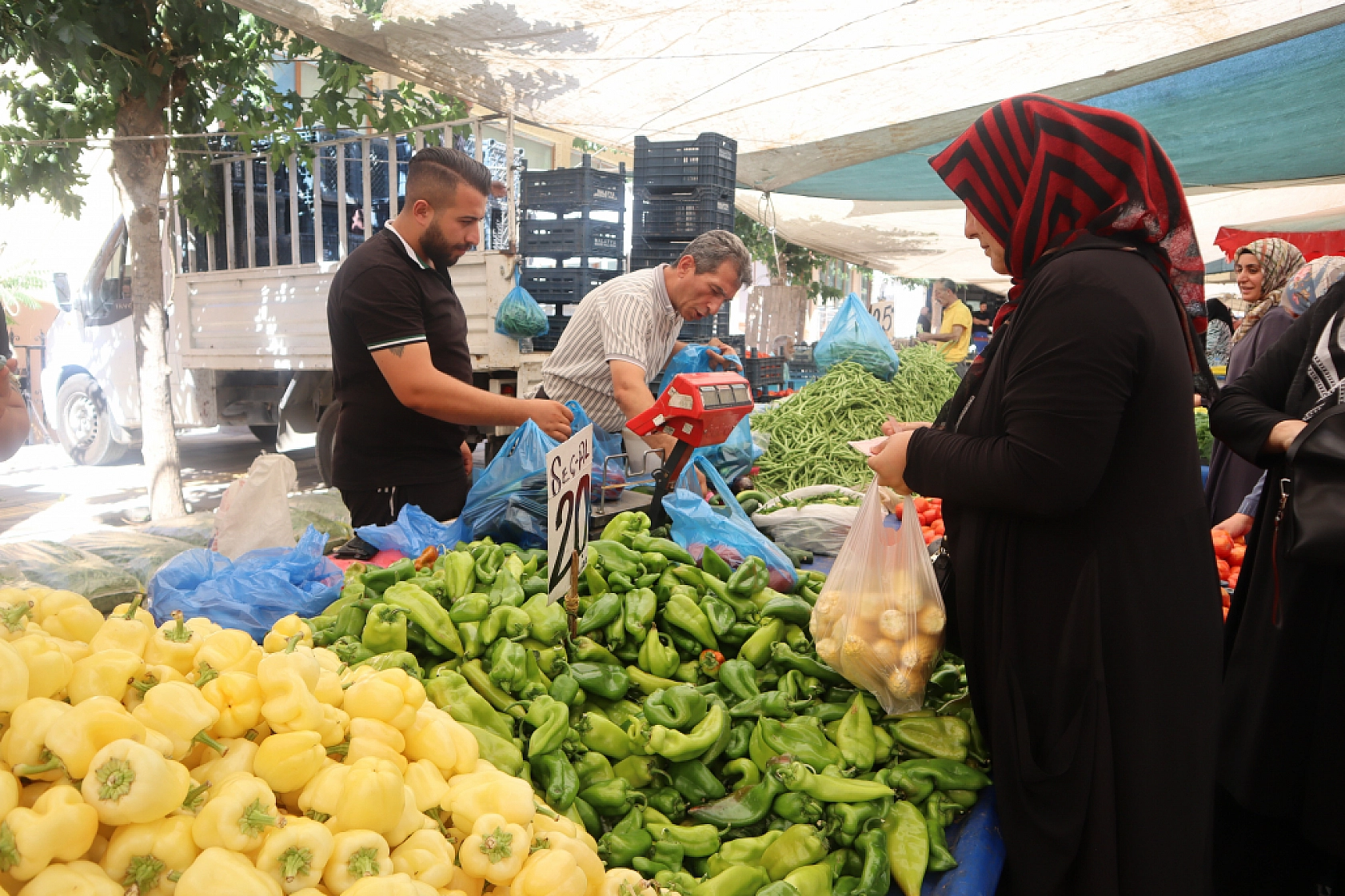 Malatya'da Sebze ve Meyve Fiyatları Düştü Mü? Ne Kadar oldu? İşte Güncel Cumartesi Pazarı Fiyatları...