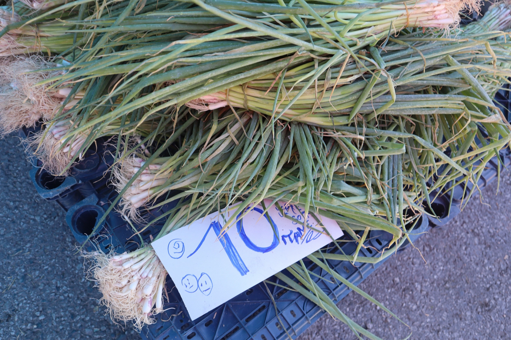 Malatya'da Kurban Bayramı Sonrası Semt Pazarlarında Hareketlilik: Fiyatlar Düşüşte!